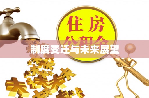 和县制度变迁与未来展望