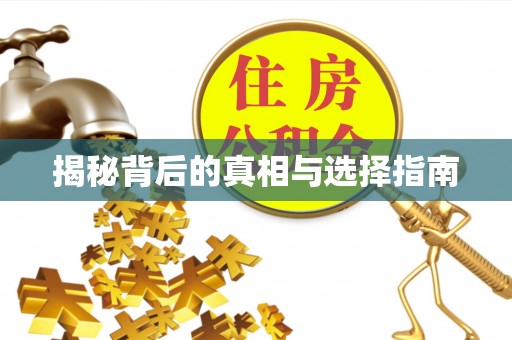 和县揭秘背后的真相与选择指南