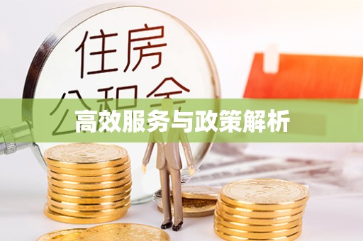 和县高效服务与政策解析