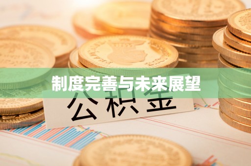 和县制度完善与未来展望