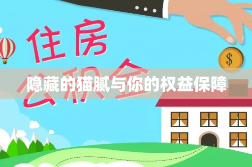 和县隐藏的猫腻与你的权益保障