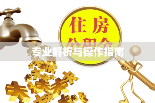 和县专业解析与操作指南