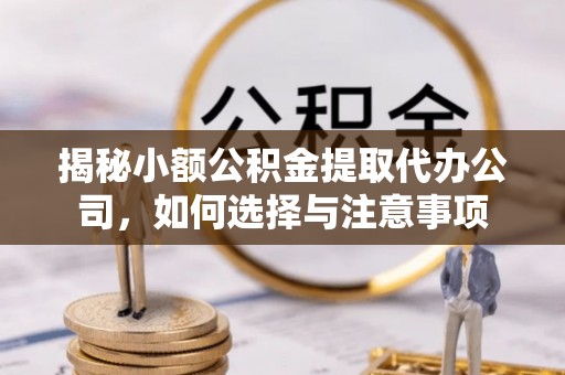 和县揭秘小额公积金提取代办公司，如何选择与注意事项
