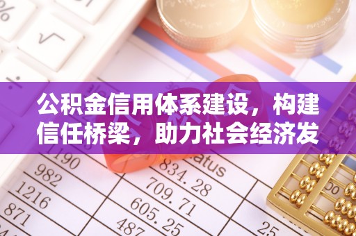 和县公积金信用体系建设，构建信任桥梁，助力社会经济发展