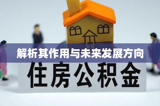 和县解析其作用与未来发展方向