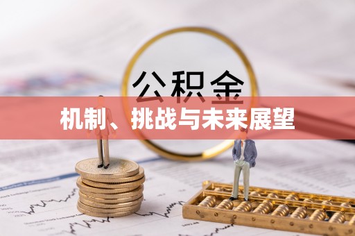 和县机制、挑战与未来展望